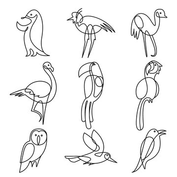 birds continuous line drawing elements set.
