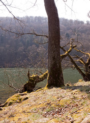 Pause am Ufer der Edertalsperre auf der Wanderung auf dem Urwaldsteig in der Nähe von Assel.