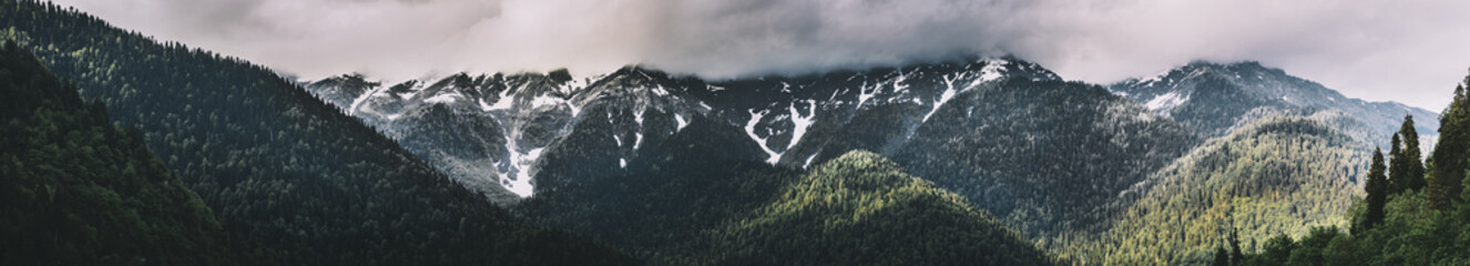 Mountain forest and clouds