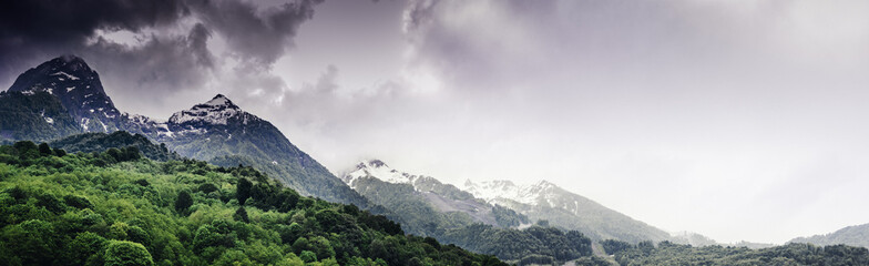 Mountain forest and clouds