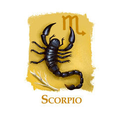 Creative digital illustration of astrological sign Scorpio. Eighth of twelve signs in zodiac. Horoscope water element. Logo sign with scorpion. Graphic design clip art for web and print. Add any text.