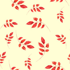 Watercolor seamless pattern, background. Illustration - Branch, red autumn leaves. Vintage pattern. Watercolor Fall Leaves Illustration.  Aspen leaf, rowan. On an isolated background.