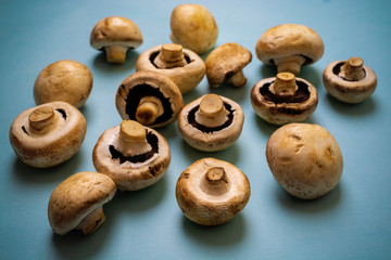 Champignon mushroom pattern on a blue background