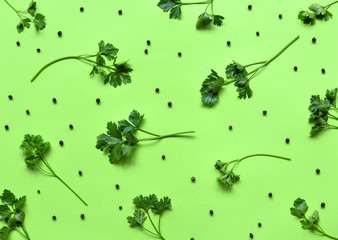 Parsley isolated. Pattern of parsley and black Pepper on a green background. Juicy bright green...