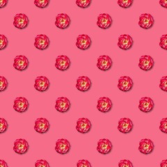 Vine red rose seamless pattern. Top view. Flat lay. Floral pattern