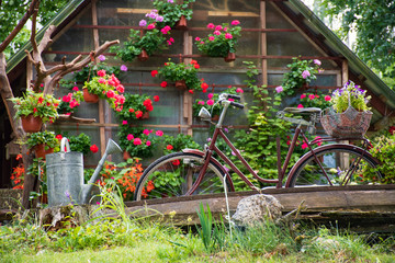 Fototapeta na wymiar Beautiful house and garden with plants, flowers, watering can and old bike with wicker basket, summer and garden background