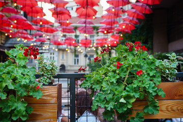 Fototapeta na wymiar Flower arrangement in restaurant with blurred red umbrellas