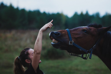 A young girl trains a horse to different teams.