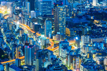 View of modern Tokyo city at night Japan