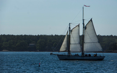 Sailboat near Maine bay