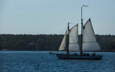 Fototapeta na wymiar Sailboat near Maine bay