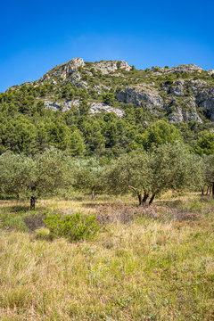 Gorges de Regalon in Provence