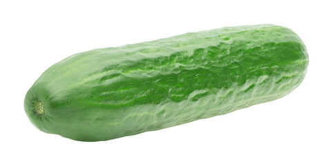 ripe cucumber isolated on white background