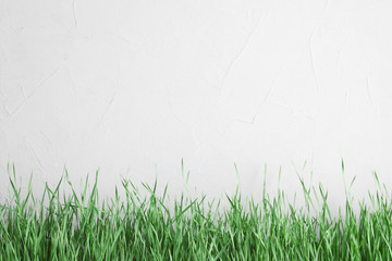 Obraz na płótnie Canvas Fresh green grass near light fence. Space for text