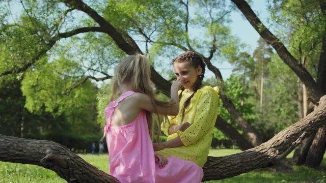 Two playful little girls sitting and swinging on tree branch in park and having fun touching each others nose with index finger on summer day