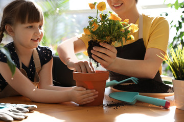 Mother and daughter taking care of home plants at table indoors