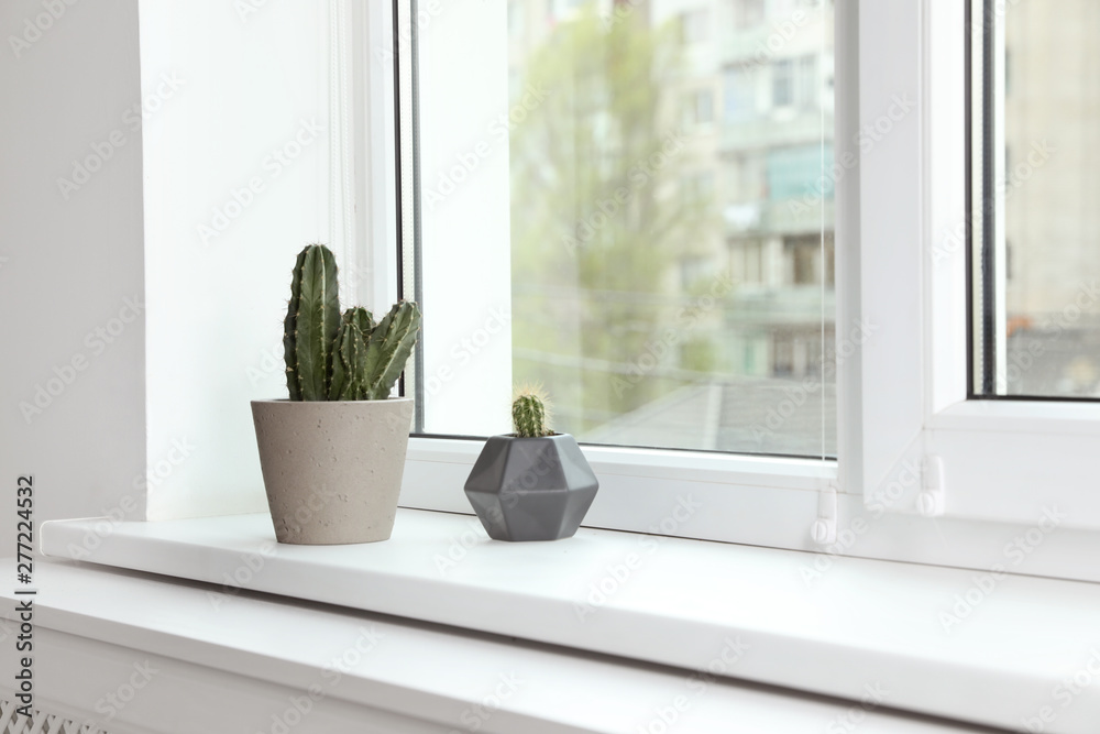 Wall mural Cacti on window sill indoors. Plants for home