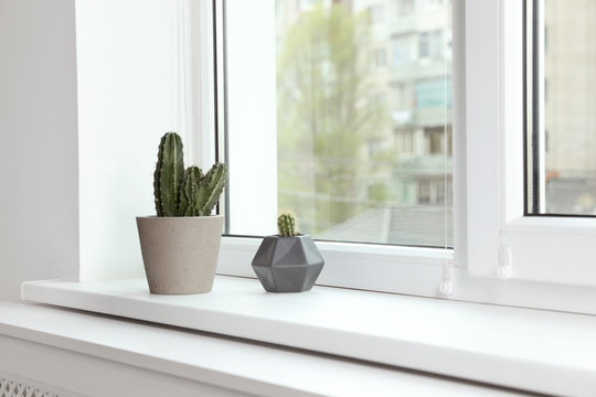 Fototapeta Cacti on window sill indoors. Plants for home