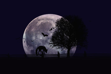 Silhouette of a red fox walking on a fence at night during full moon.