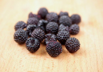 Berries of 