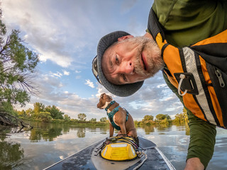 stand up paddling with a pitbull dog