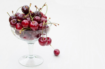 fresh ripe sweet cherry in a glass plate. cherries closeup. cherry on the bowl on white background. Cherry isolated. copy space.