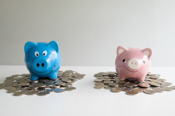 pink and blue two piggy bank saving money with coins pile, step up help each other business to success and saving for retirement concept