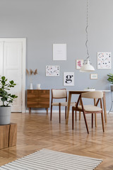 Stylish scandinavian home interior of sitting room with design wooden chairs, family table, plants, accessories and mock up posters gallery wall. Gray background walls. Modern home decor. Template.