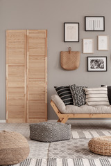 Fashionable scandinavian living room interior design, natural accents concept