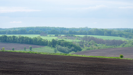 Fototapeta na wymiar Black fertile soil on a sprinkled spring field. Landscape