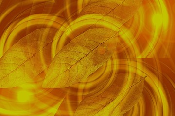 abstract fractal background, wallpaper with a curved digital colorful spiral