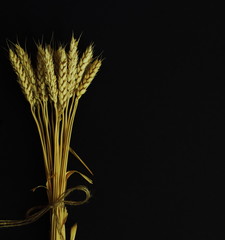 Golden ears of wheat tied with jute ribbon on black background. Symbolic concept - wealth, harvest, summer, sun. Minimal style.