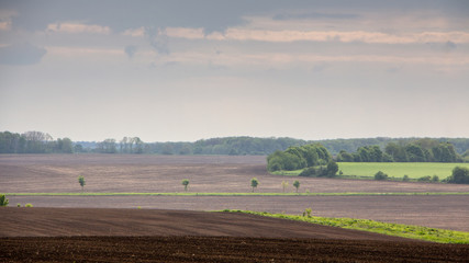 Fototapeta premium Black fertile soil on a sprinkled spring field. Landscape