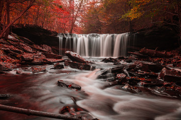 Fall at Ricketts Glen