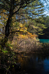 Goshiki-numa Urabandai Fukushima Autumn Japan