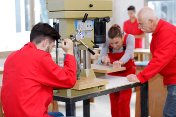portrait of apprentice of woodworking company