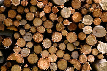 Wall of stacked wood logs as background. Pile of wood logs ready for winter. Round wooden stumps, texture background. Firewood stacked and prepared for winter. Woodpile.