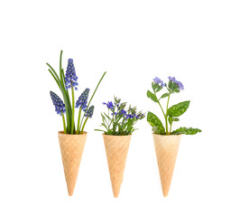 Beautiful small blue garden and wild flowers. 