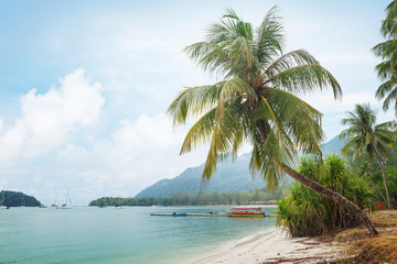 Fototapeta na wymiar Tropical beach with palms and bright sand