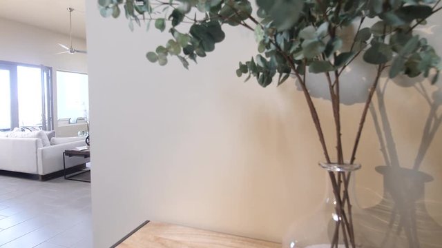 Living Room Hallway Reveal from Foyer Plant. view moves right and up to show entrance to living room area from a plant on a table in the foyer