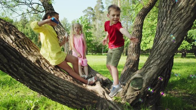 Tracking right shot of three kids playing with soap bubbles on large tree in park. Girl blowing bubbles, boy trying to catch and pop them