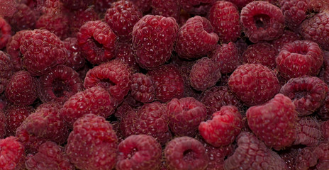ripe fresh juicy raspberry sweet much summer exquisite taste