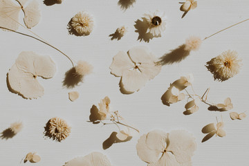 Neutral floral composition with dry flower petals and branches on grey background. Flat lay, top...