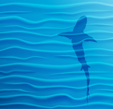 Shark silhouette in blue water. Blue water waves background with shark and copy-space. Vector Illustration EPS10.
