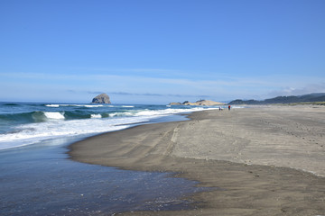 Summer on the Sandy Beach of the Pacific Northwest