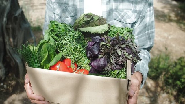 Farmer man holding grocery cardboard box with fresh vegetables and herbs. Vegetable delivery box, online ordering concept. Farmer harvest fresh local organic vegetable. Farmers market.