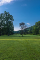 Green Grass, Blue Sky and Trees