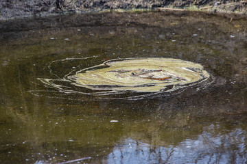 water funnel in the lake