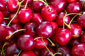 Close up of pile of ripe cherries with stalks and leaves. Large collection of fresh red cherries.