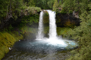 Fototapeta na wymiar Koosah Falls Oregon